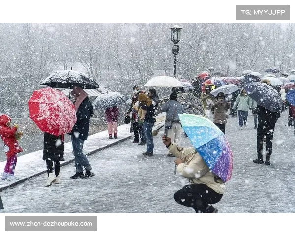 德甲遭遇十年一遇寒潮，三场比赛因大雪延期